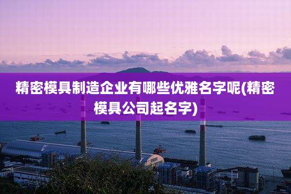 精密模具制造企业有哪些优雅名字呢(精密模具公司起名字)