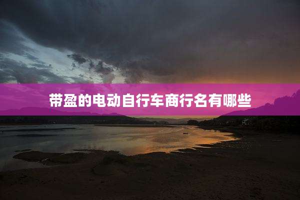 带盈的电动自行车商行名有哪些