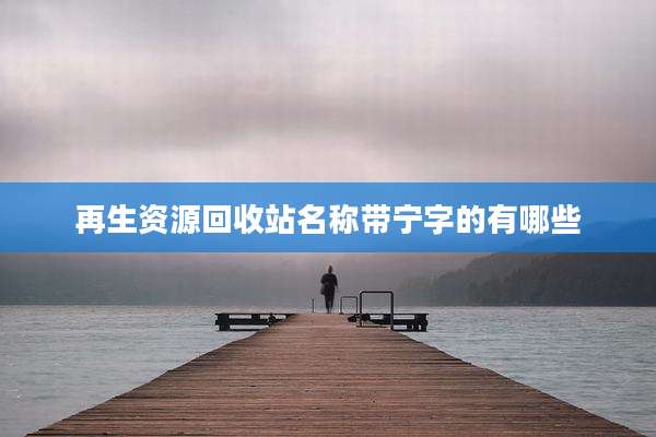 再生资源回收站名称带宁字的有哪些