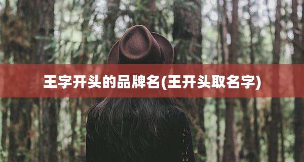 王字开头的品牌名(王开头取名字)