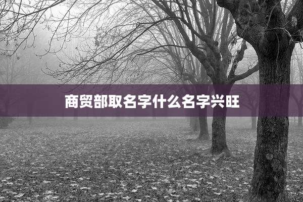 商贸部取名字什么名字兴旺