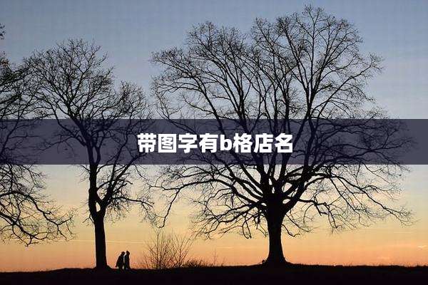带图字有b格店名