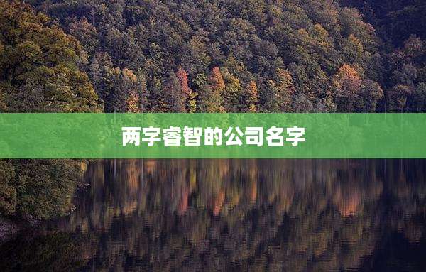 两字睿智的公司名字