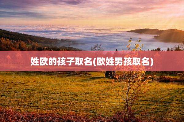 姓欧的孩子取名(欧姓男孩取名)