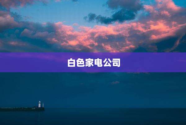 白色家电公司
