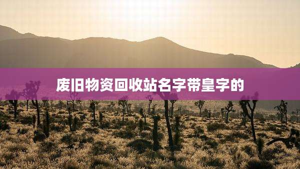 废旧物资回收站名字带皇字的