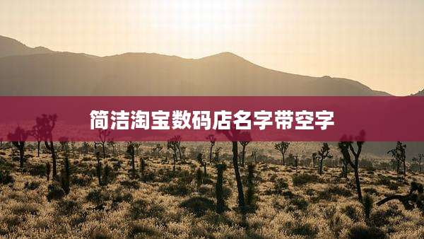 简洁淘宝数码店名字带空字