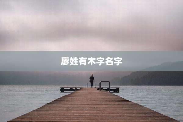 廖姓有木字名字