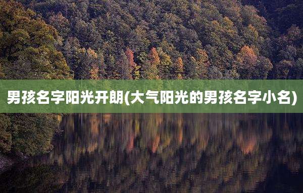 男孩名字阳光开朗(大气阳光的男孩名字小名)