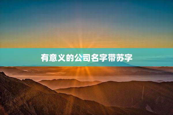 有意义的公司名字带苏字