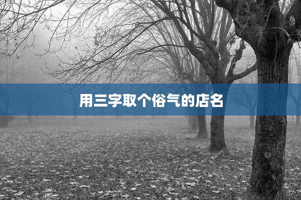 用三字取个俗气的店名