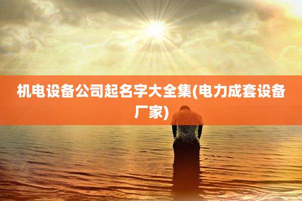 机电设备公司起名字大全集(电力成套设备厂家)