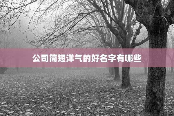 公司简短洋气的好名字有哪些