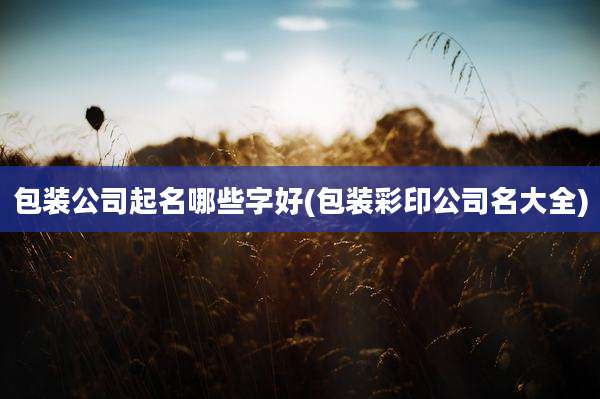 包装公司起名哪些字好(包装彩印公司名大全)