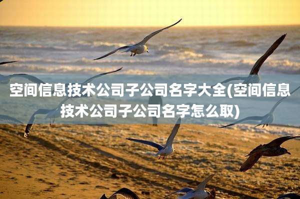 空间信息技术公司子公司名字大全(空间信息技术公司子公司名字怎么取)