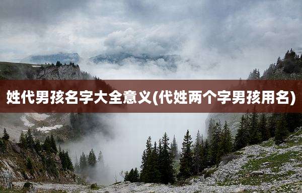 姓代男孩名字大全意义(代姓两个字男孩用名)