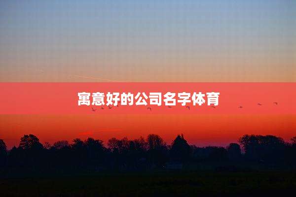 寓意好的公司名字体育