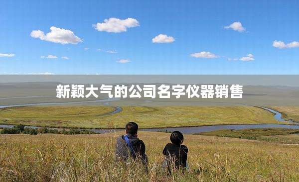 新颖大气的公司名字仪器销售