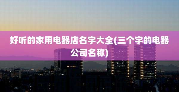 好听的家用电器店名字大全(三个字的电器公司名称)