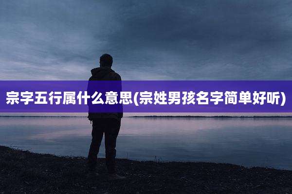 宗字五行属什么意思(宗姓男孩名字简单好听)