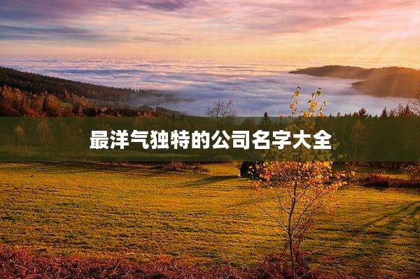 最洋气独特的公司名字大全