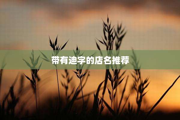 带有迪字的店名推荐
