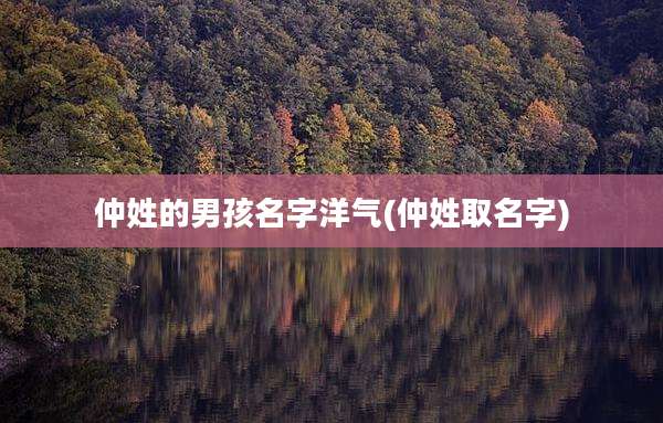 仲姓的男孩名字洋气(仲姓取名字)