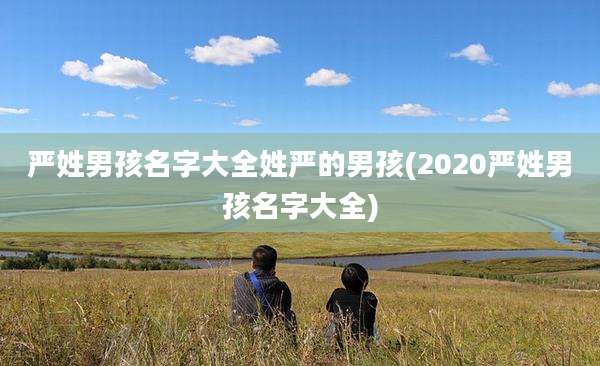 严姓男孩名字大全姓严的男孩(2020严姓男孩名字大全)