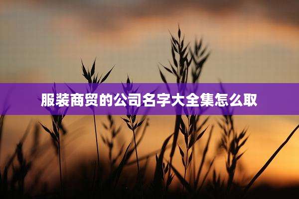 服装商贸的公司名字大全集怎么取