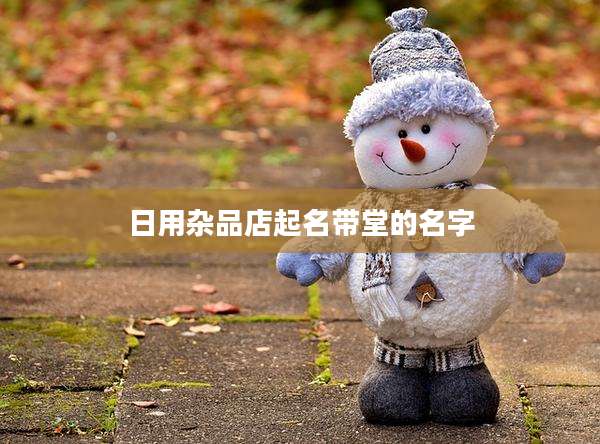 日用杂品店起名带堂的名字