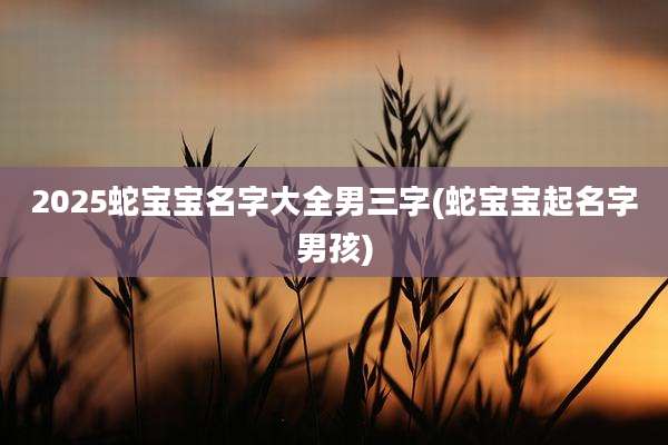 2025蛇宝宝名字大全男三字(蛇宝宝起名字男孩)