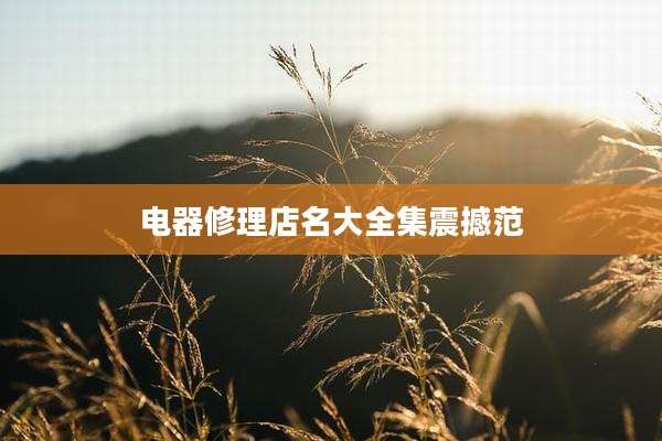 电器修理店名大全集震撼范
