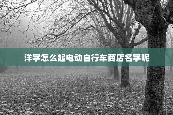 洋字怎么起电动自行车商店名字呢