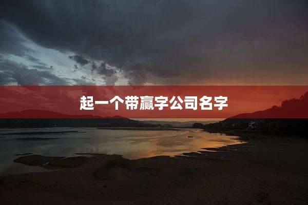起一个带赢字公司名字