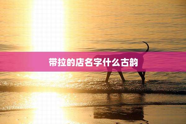 带拉的店名字什么古韵