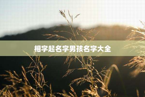 相字起名字男孩名字大全