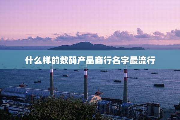 什么样的数码产品商行名字最流行