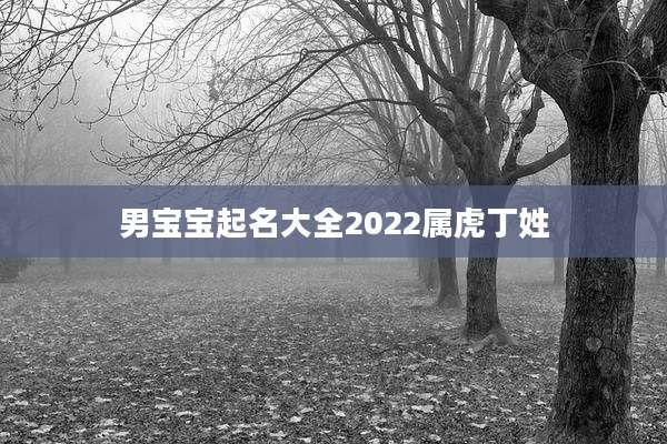 男宝宝起名大全2022属虎丁姓