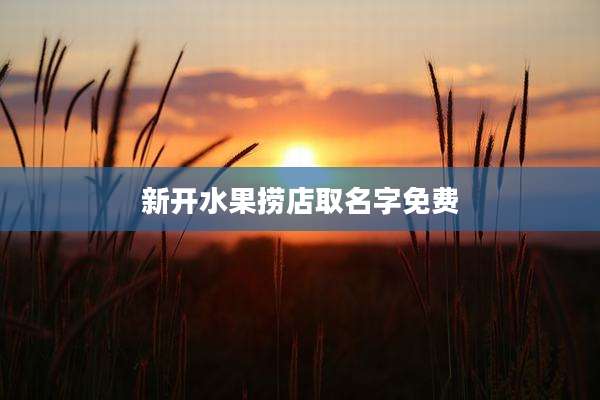 新开水果捞店取名字免费