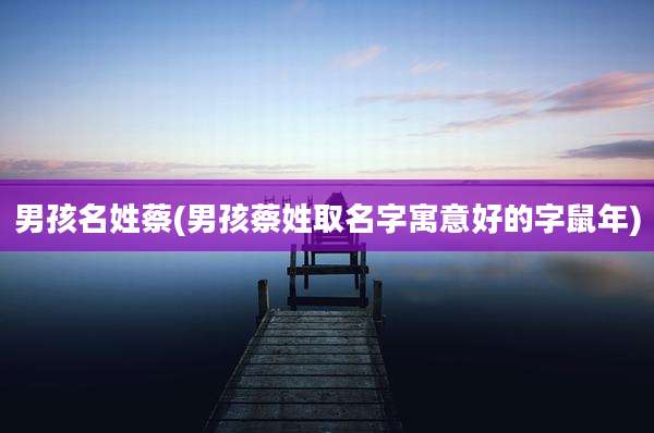 男孩名姓蔡(男孩蔡姓取名字寓意好的字鼠年)
