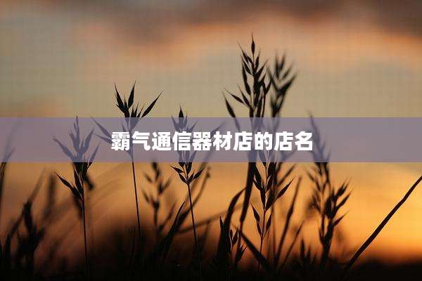 霸气通信器材店的店名