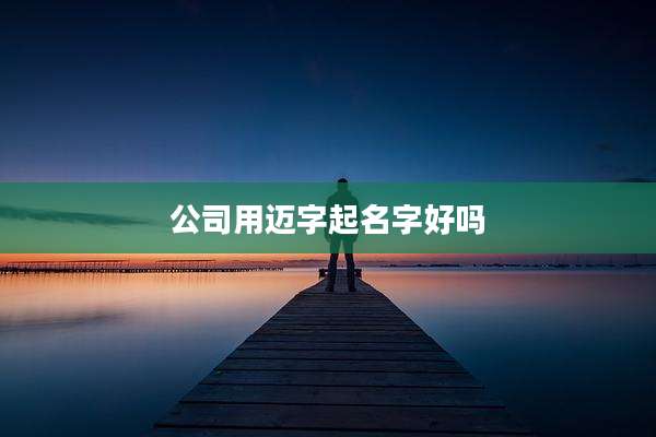 公司用迈字起名字好吗