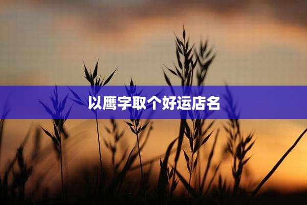 以鹰字取个好运店名