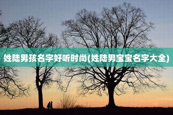 姓陆男孩名字好听时尚(姓陆男宝宝名字大全)