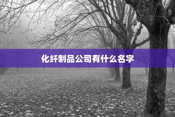 化纤制品公司有什么名字