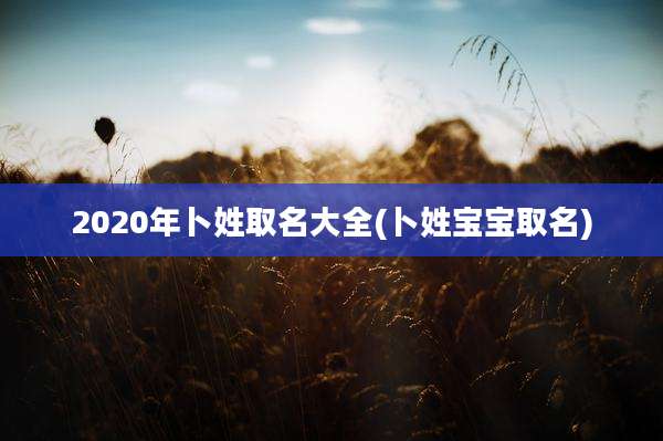 2020年卜姓取名大全(卜姓宝宝取名)