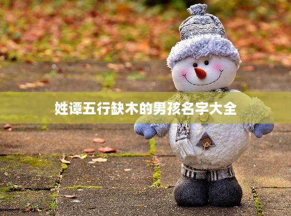 姓谭五行缺木的男孩名字大全