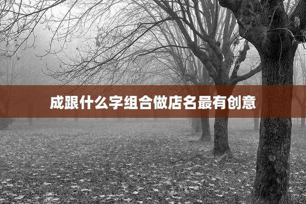 成跟什么字组合做店名最有创意