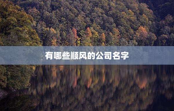 有哪些顺风的公司名字