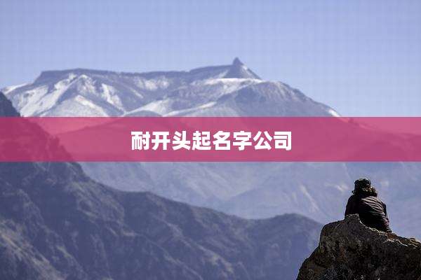 耐开头起名字公司